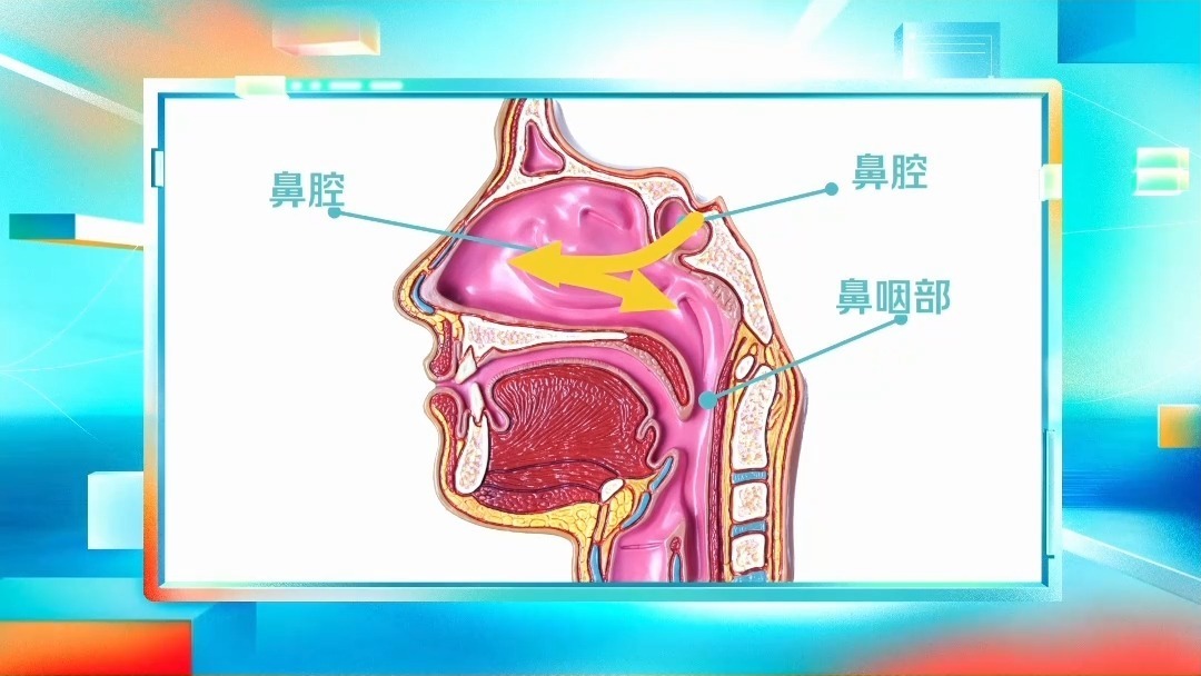 健康中国丨感冒别再回吸鼻涕了 专家：小心中耳炎、咽炎找上门