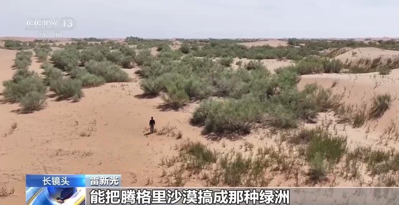 黄沙变绿洲 他让沙漠开出“致富花”