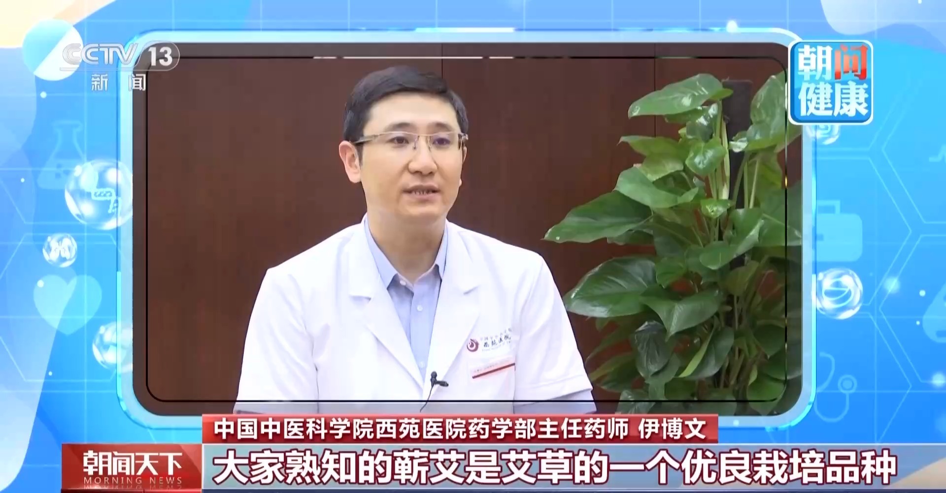 朝“问”健康丨端午插艾别选错 分清“艾”与“蒿”