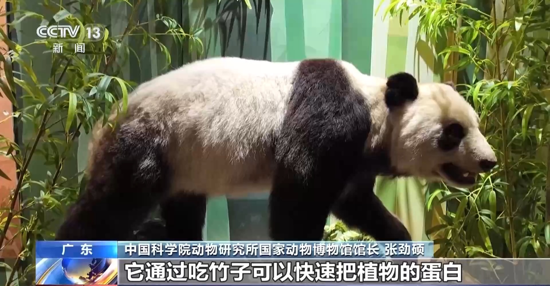 中国科学院：多项生物多样性保护领域科研成果发布