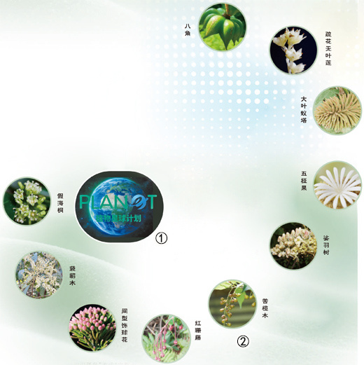 什么是植物星球计划？听院士们讲一讲→